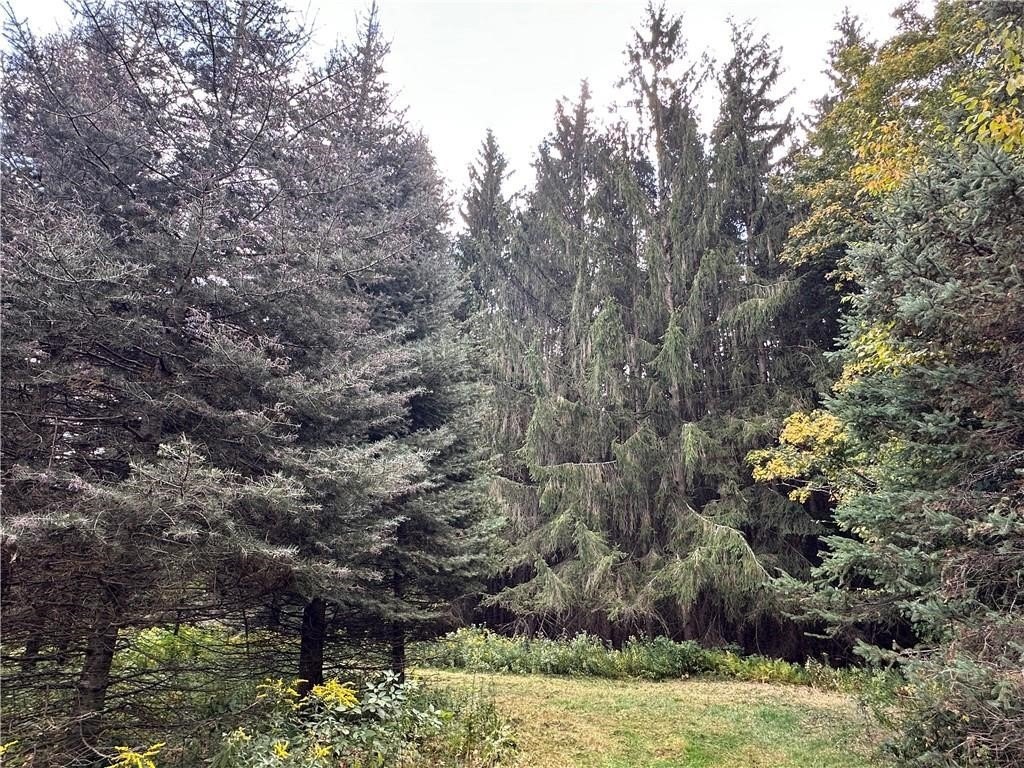 Picture 7