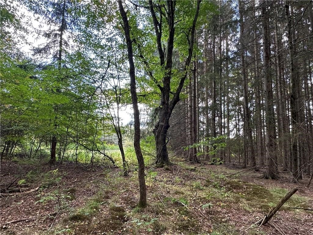 Picture 19