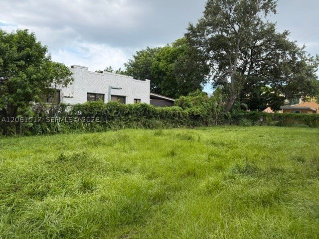 Picture 6