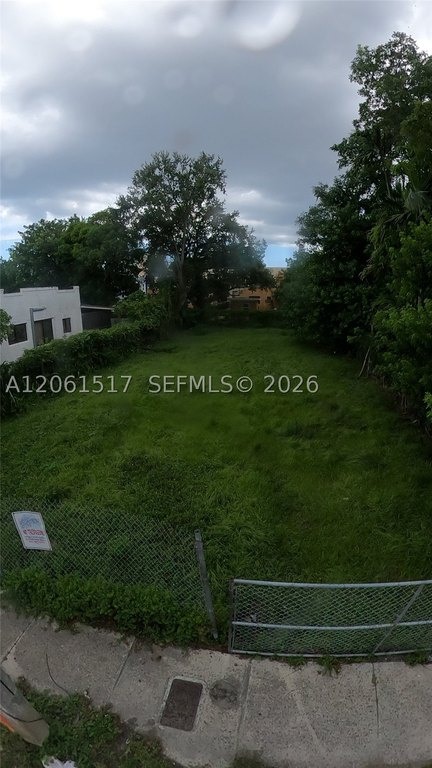 Picture 8