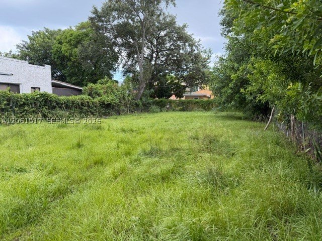 Picture 3