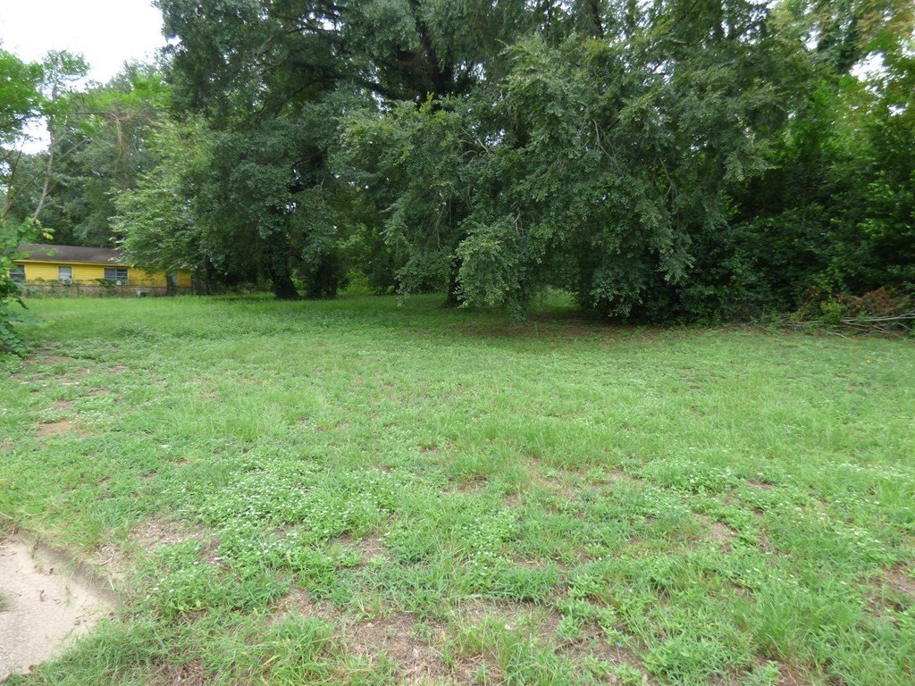 Picture 3