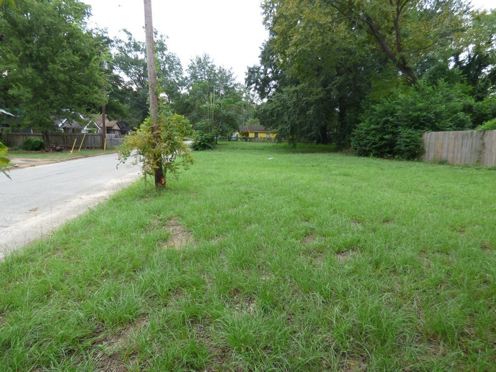 Picture 2