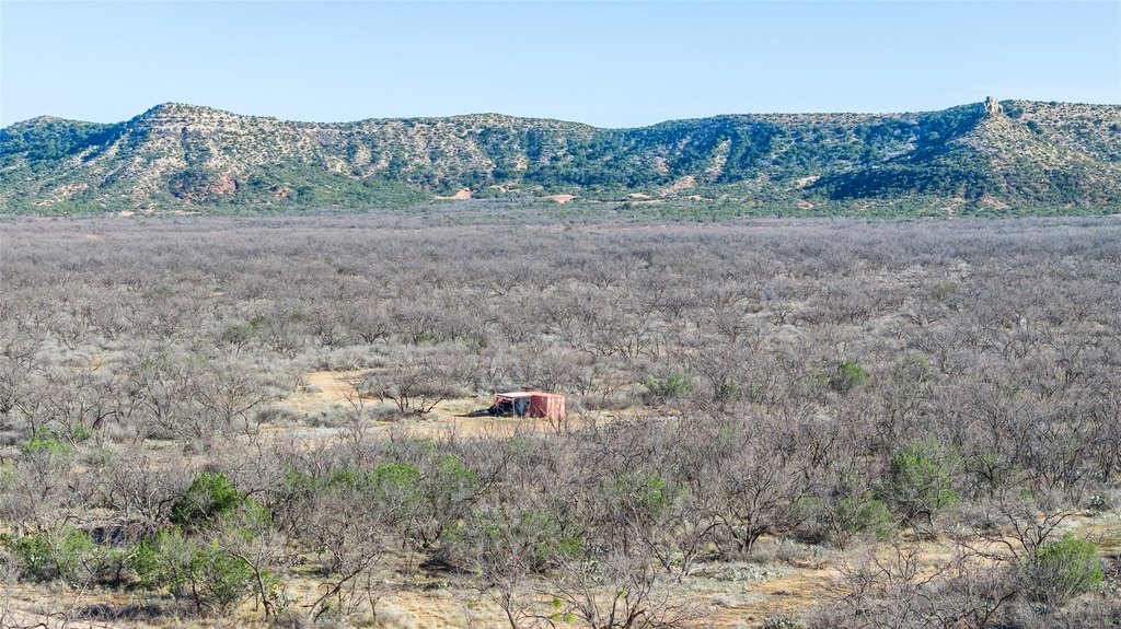 Picture 35