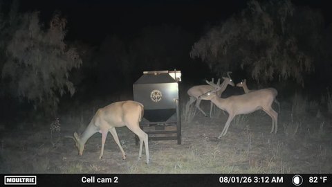 Working Ranch with Wildlife Habitat