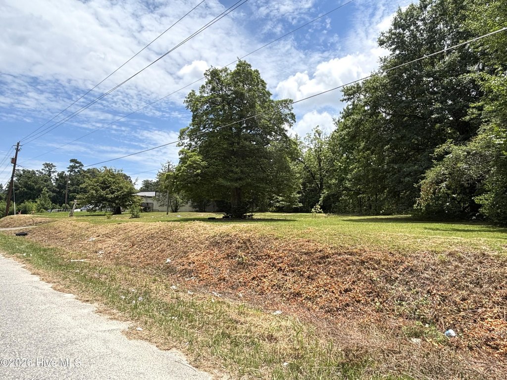 Picture 4