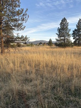 Land, Otis Orchards, WA