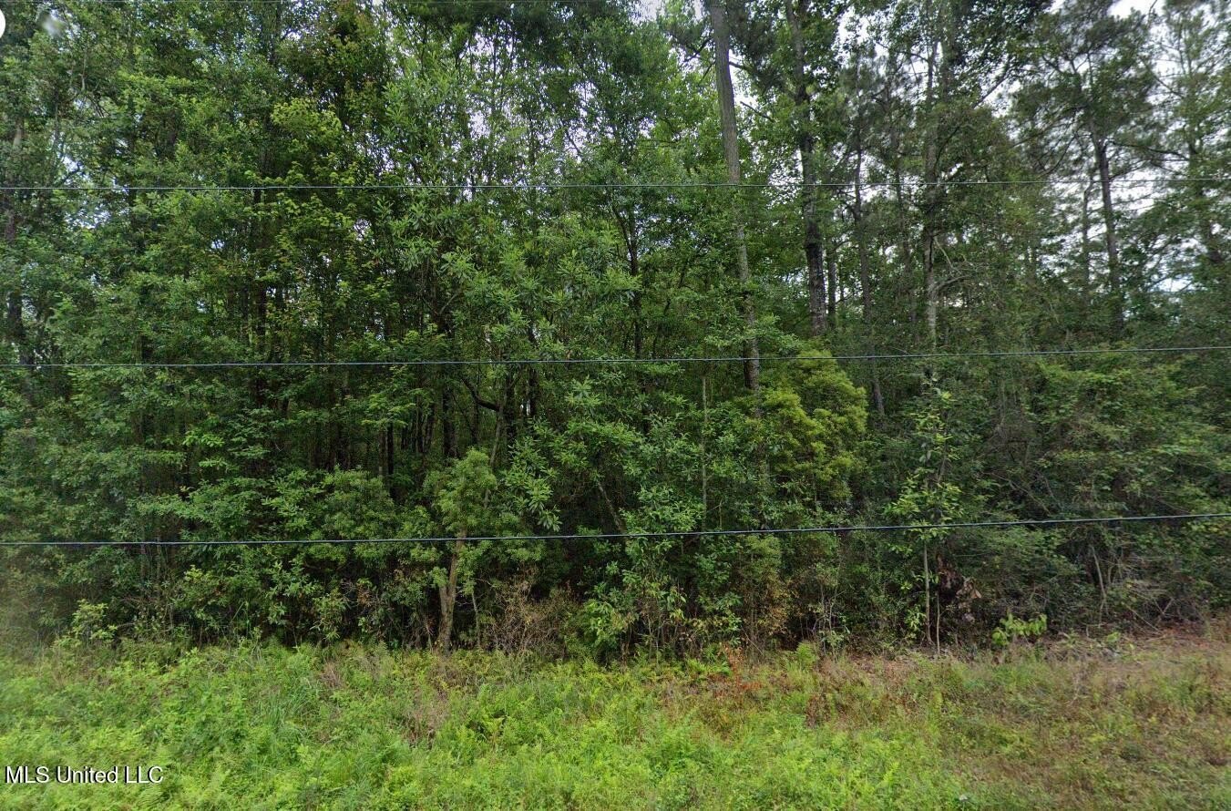 Residential Land in Robinhood Forest