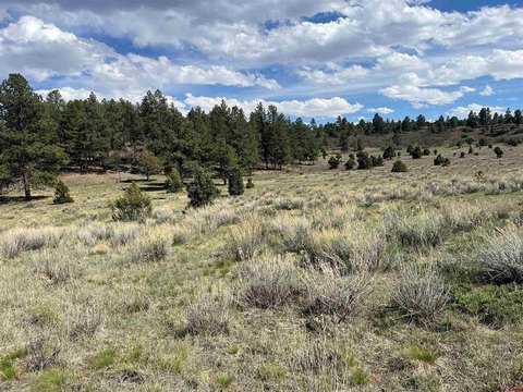 Land For Sale Ridgway, CO