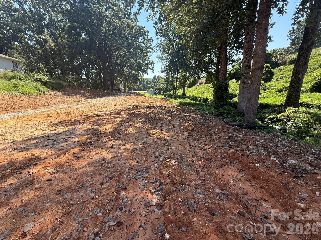Picture 23