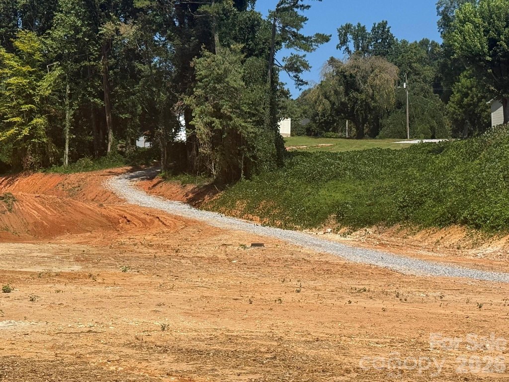 Picture 21