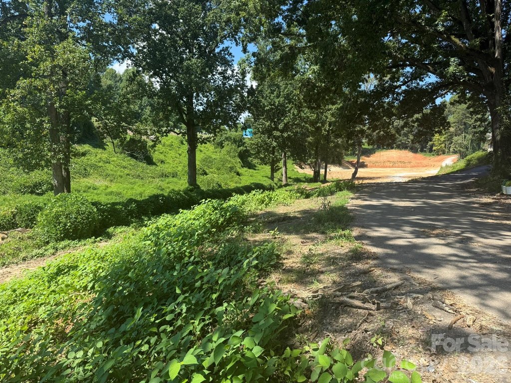 Picture 36
