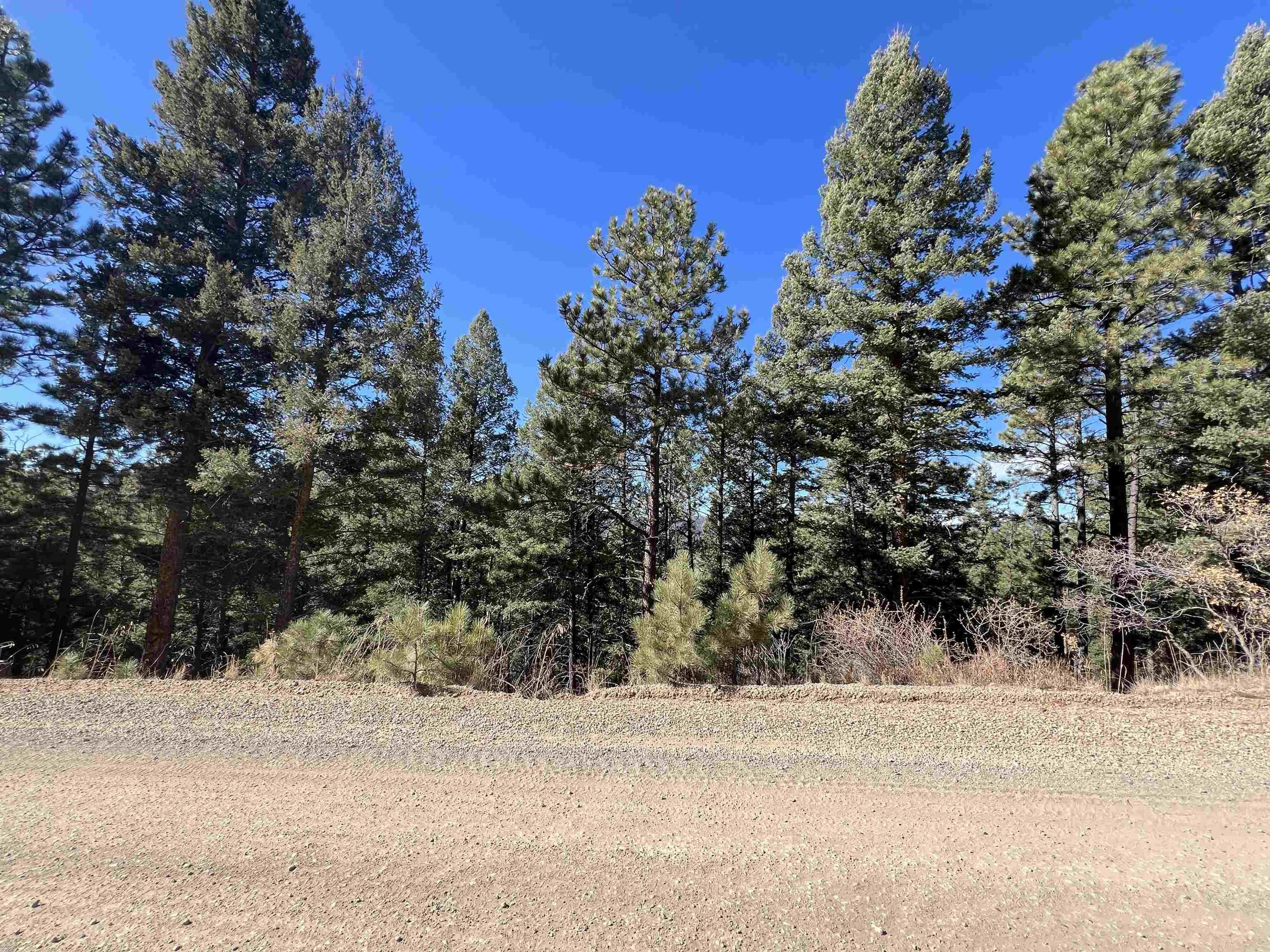 Land Near Chili Express Lift