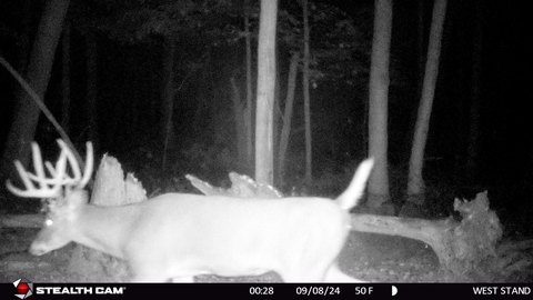 Lots & Acreage, Baraboo, WI
