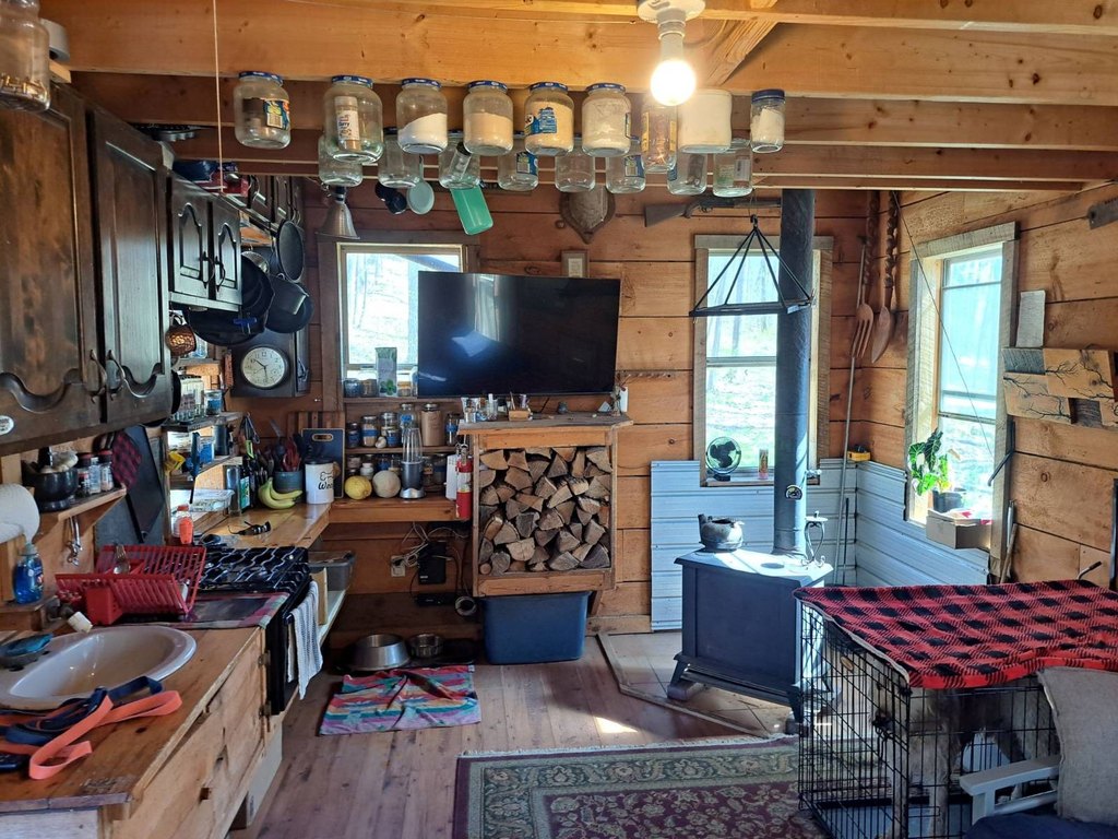 Picture 8