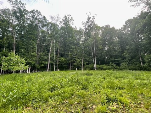 LAND - Boyceville, WI