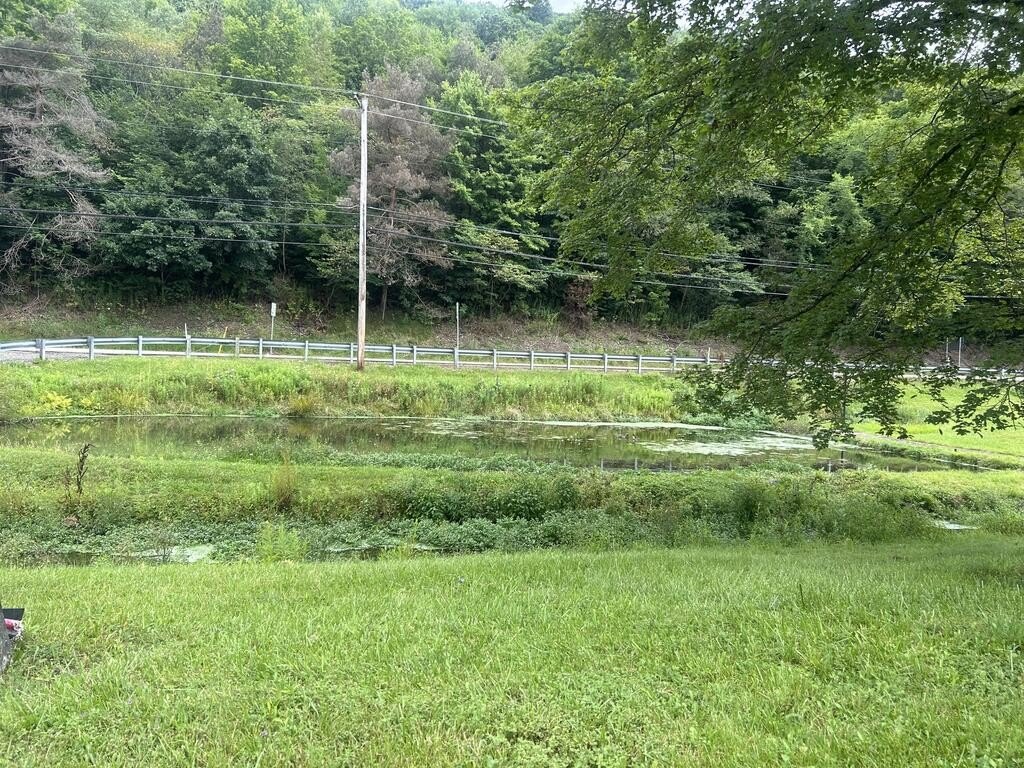 Picture 4