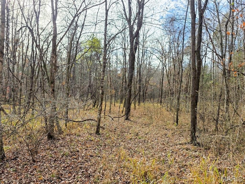 Picture 19