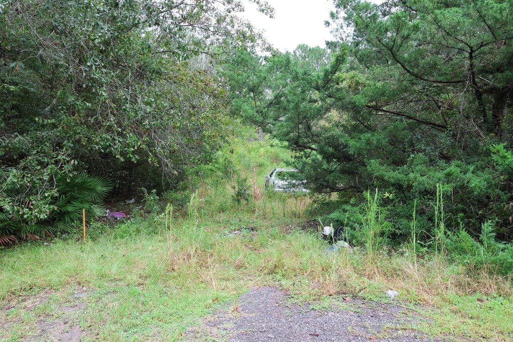 Picture 9