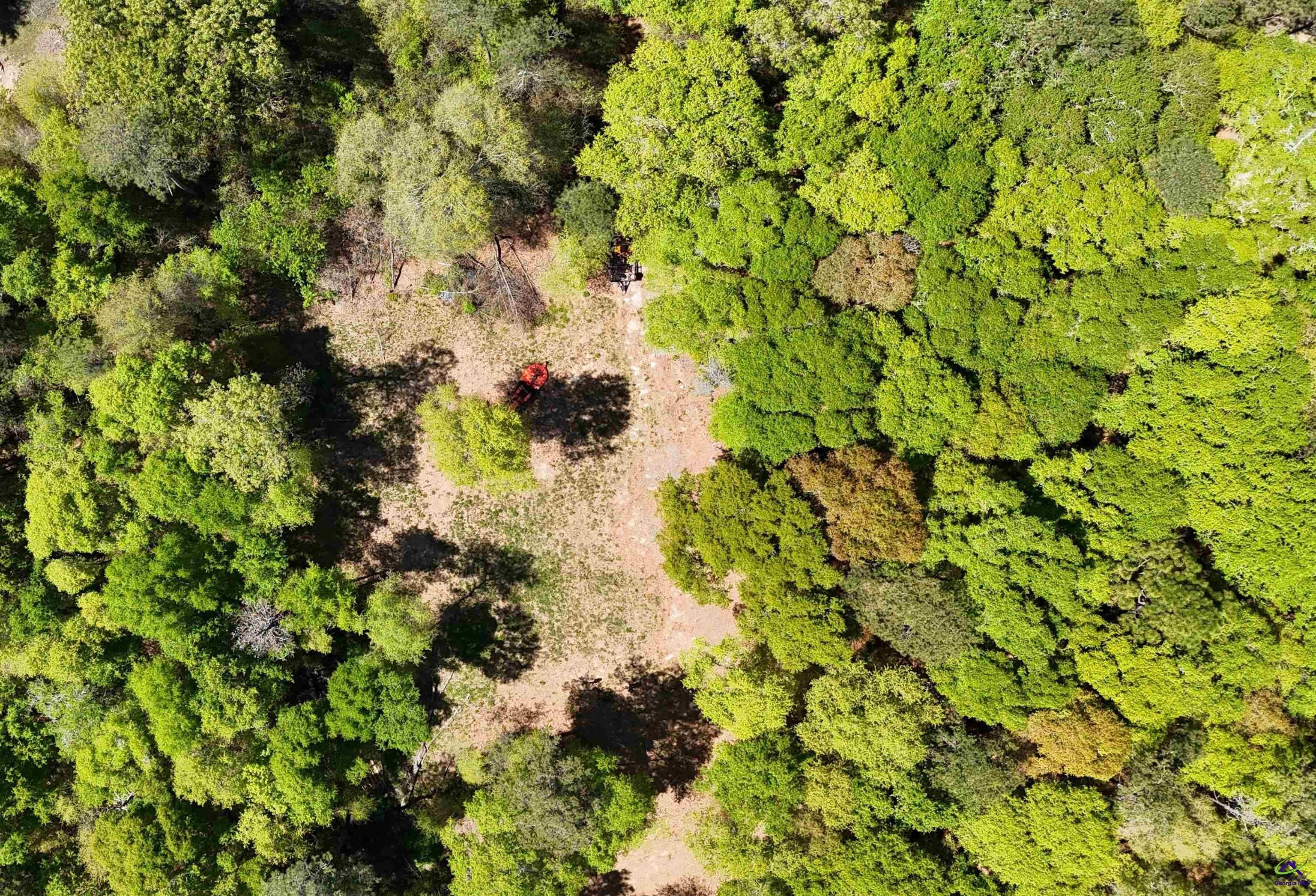 Residential Land in Fort Valley