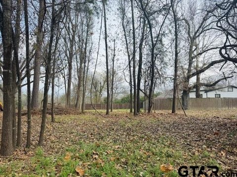 Residential Lot in Athens, TX