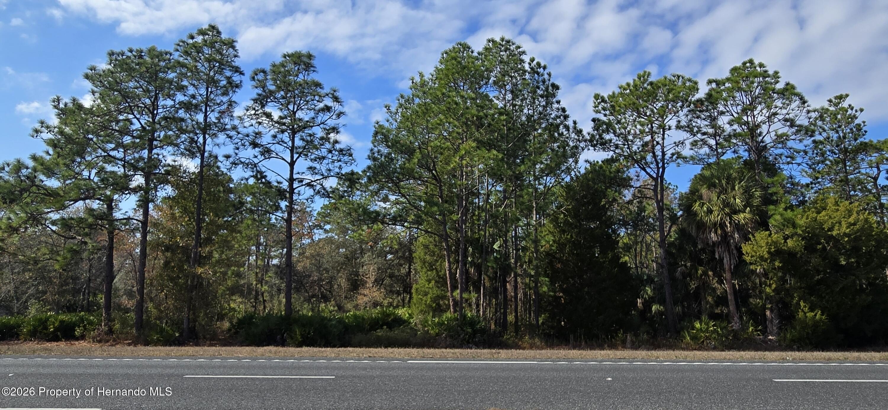 Half-Acre Lot on US 19