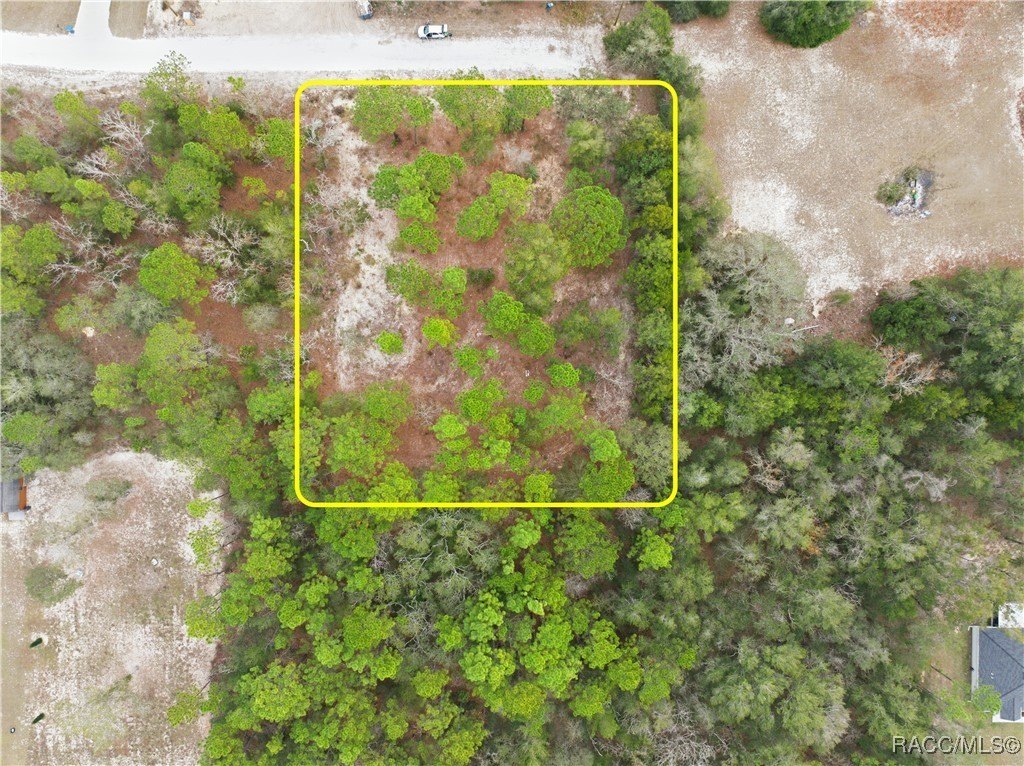 Secluded Land in Weeki Wachee