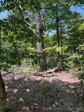 Secluded Nine Acres in Ozarks