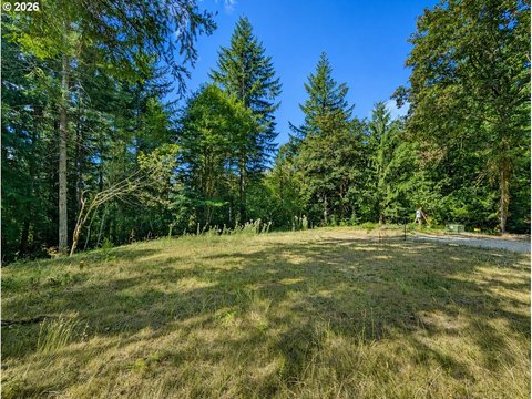 Land with Creek and Utilities