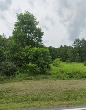 65 Acres Hunting and Recreation