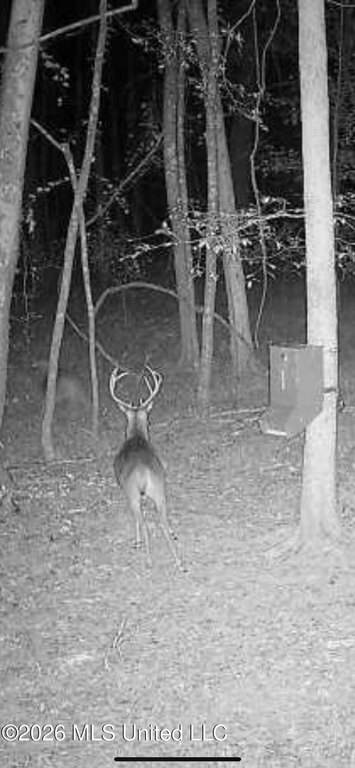 Picture 54