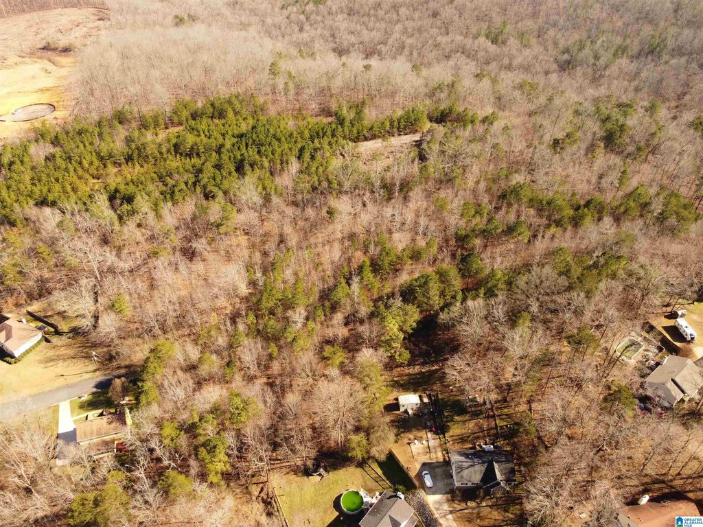Picture 17