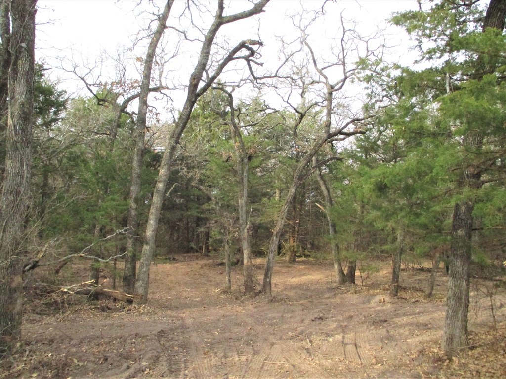 Picture 6