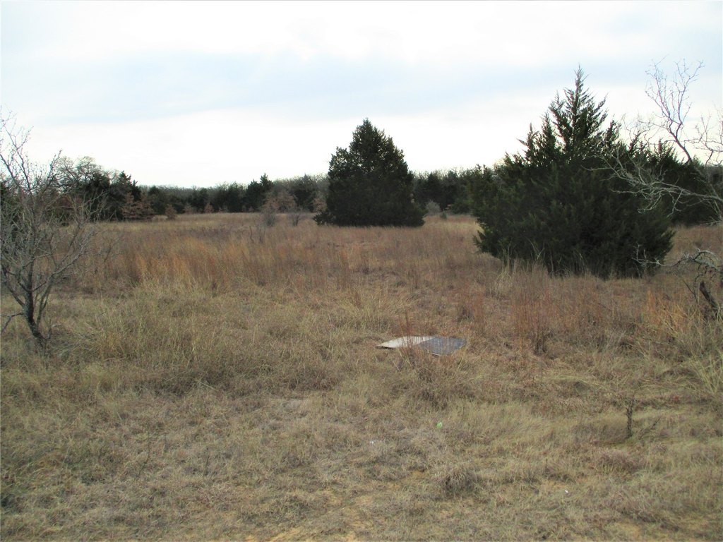 Picture 7