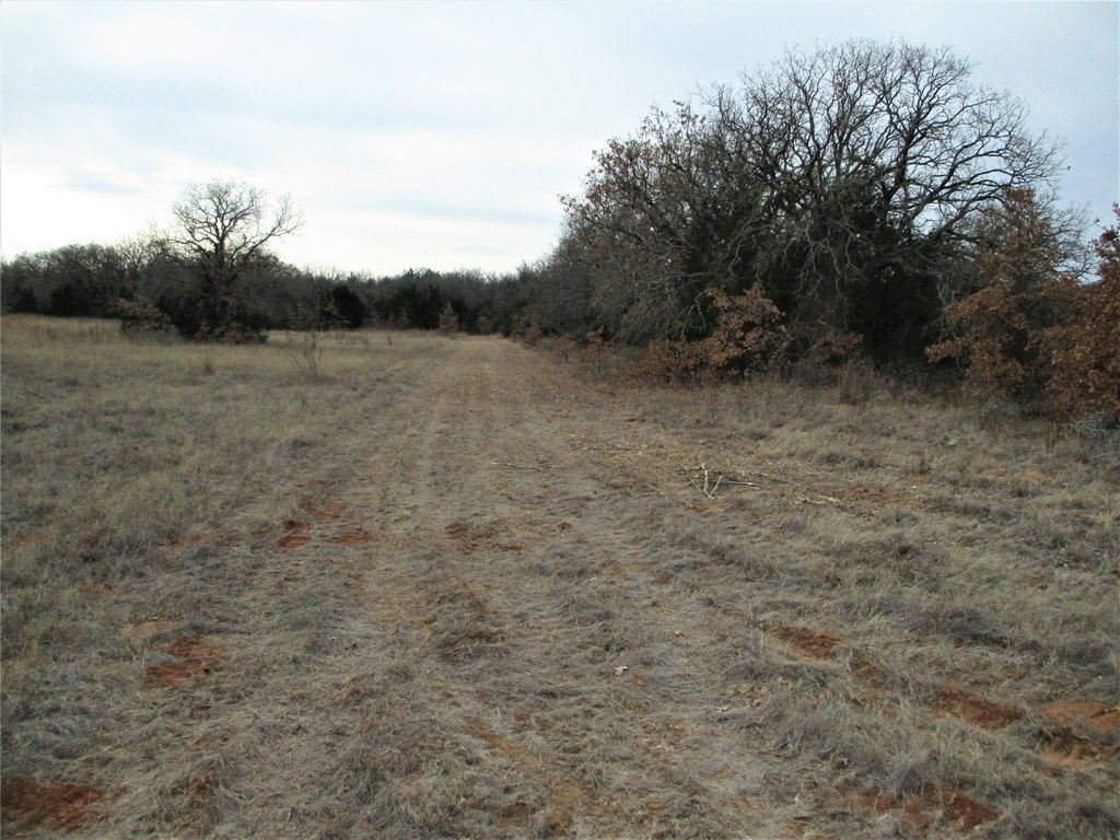 Picture 8