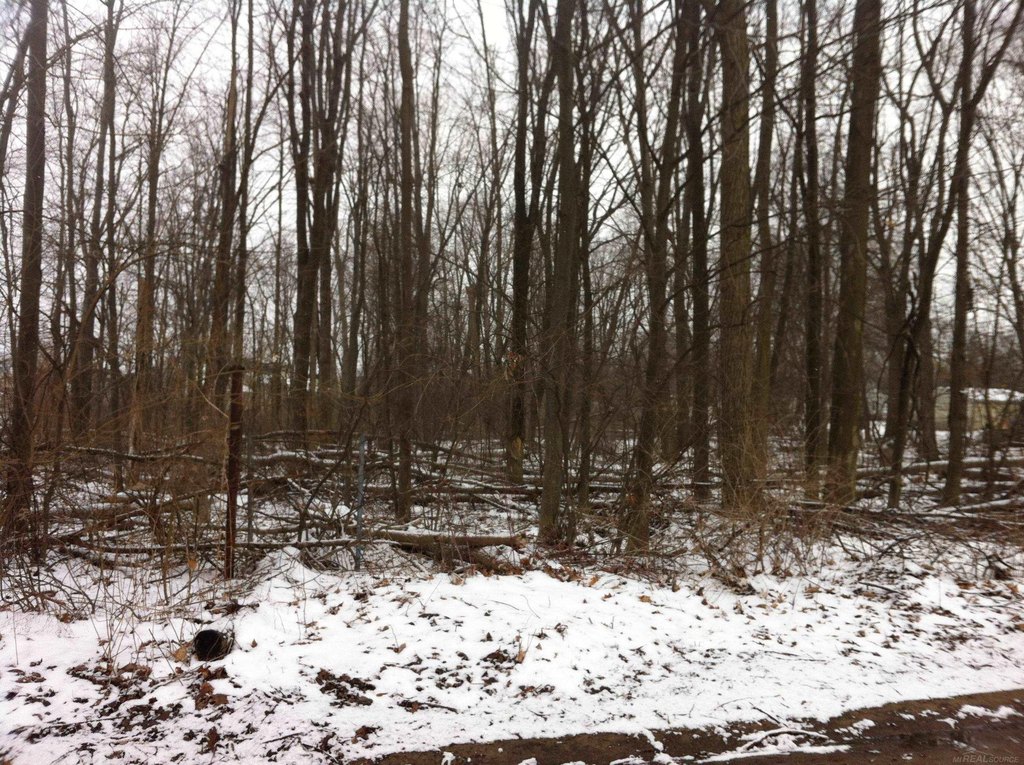 Picture 4