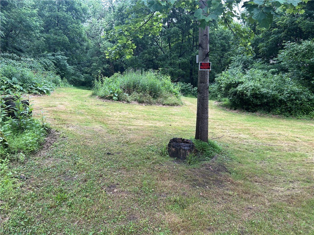 Picture 7