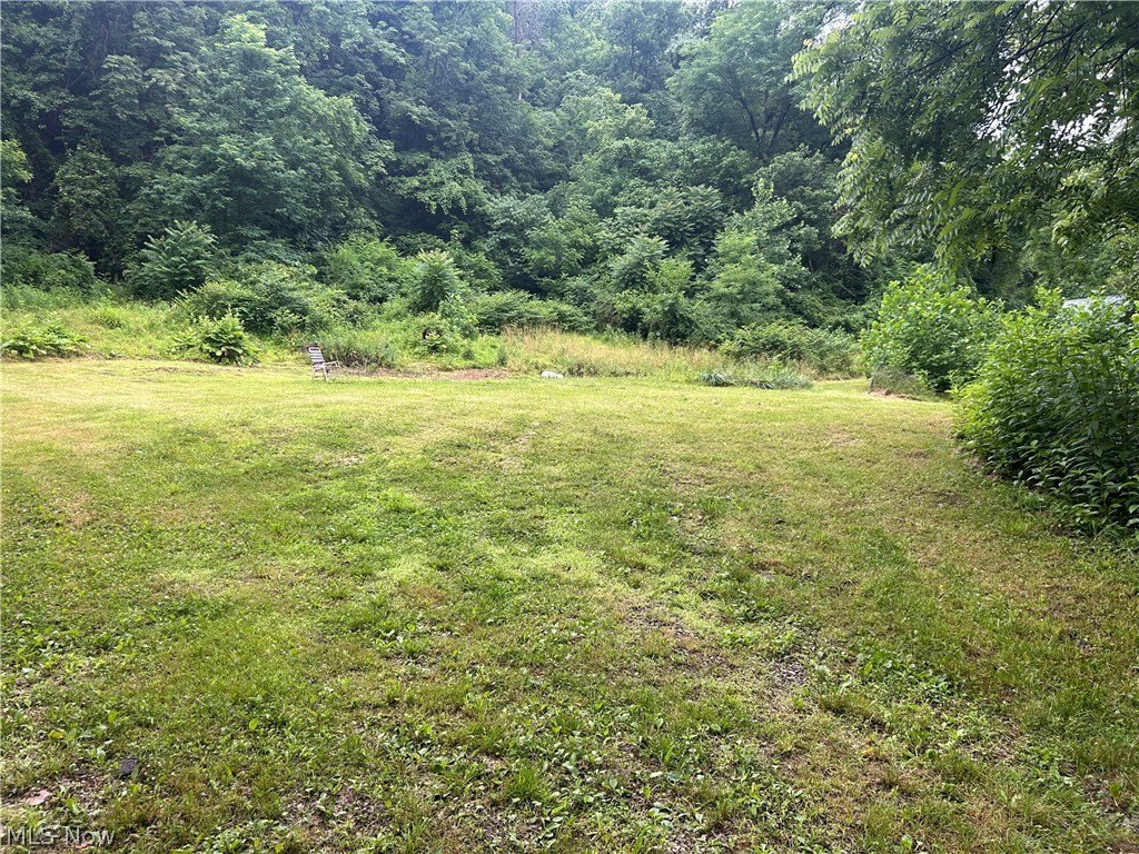 Picture 3