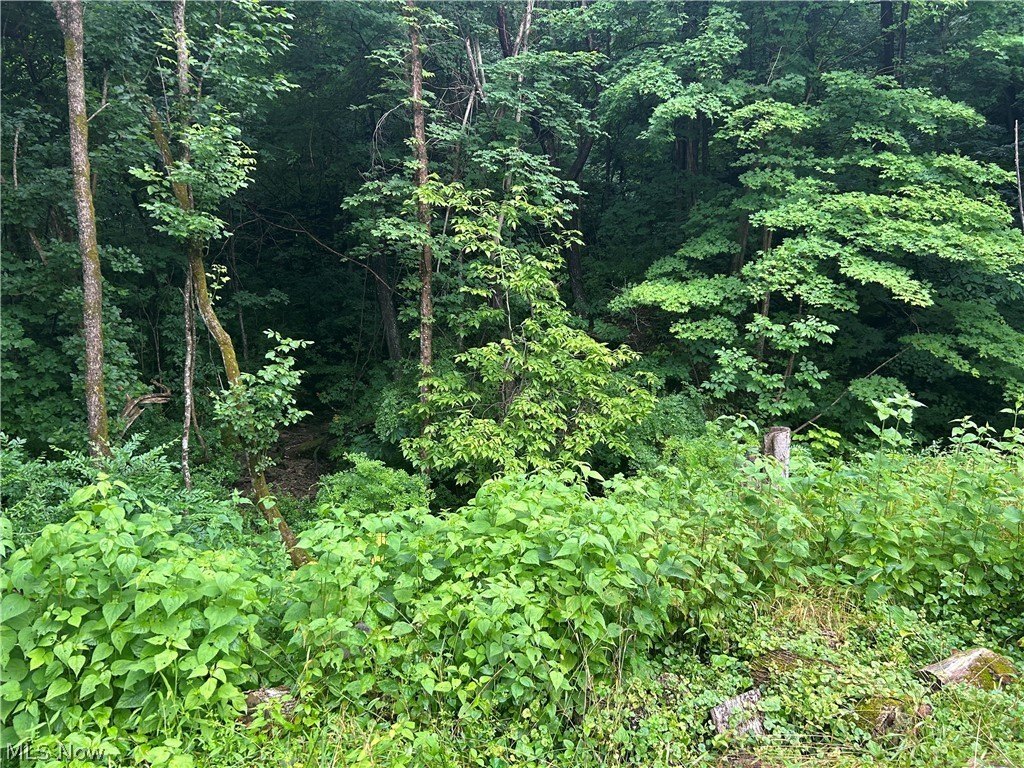 Picture 10