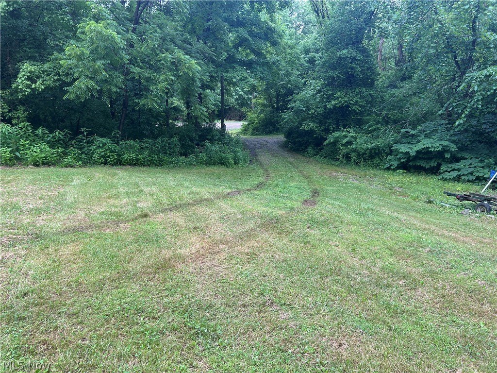 Picture 9