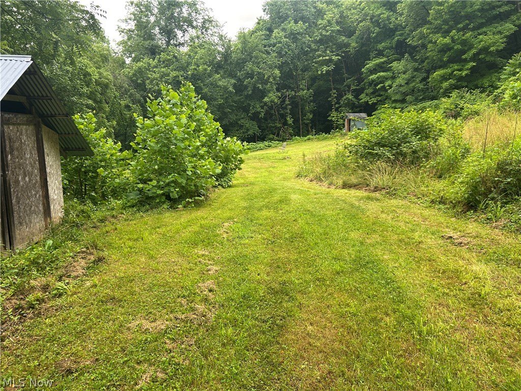 Picture 8