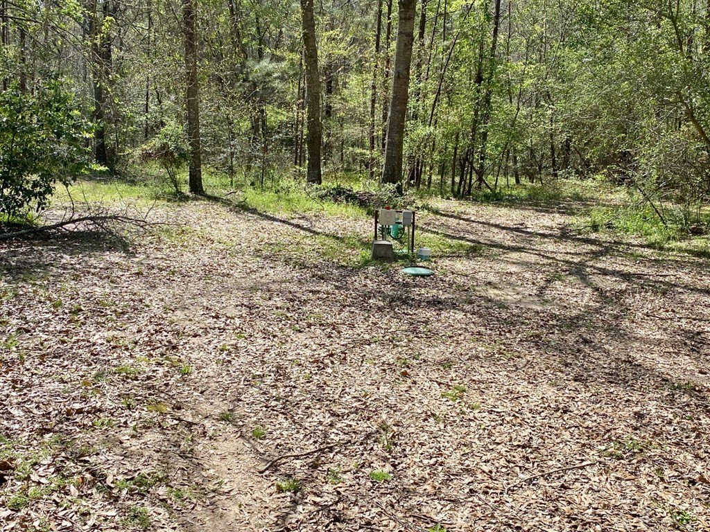 Picture 12