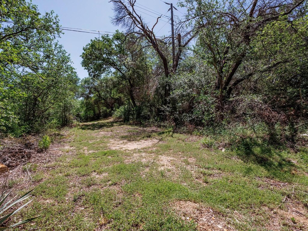 Picture 14