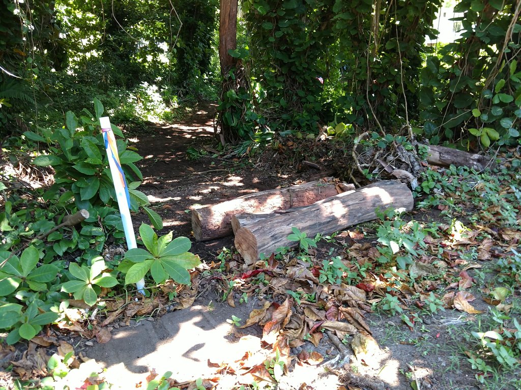 Picture 15