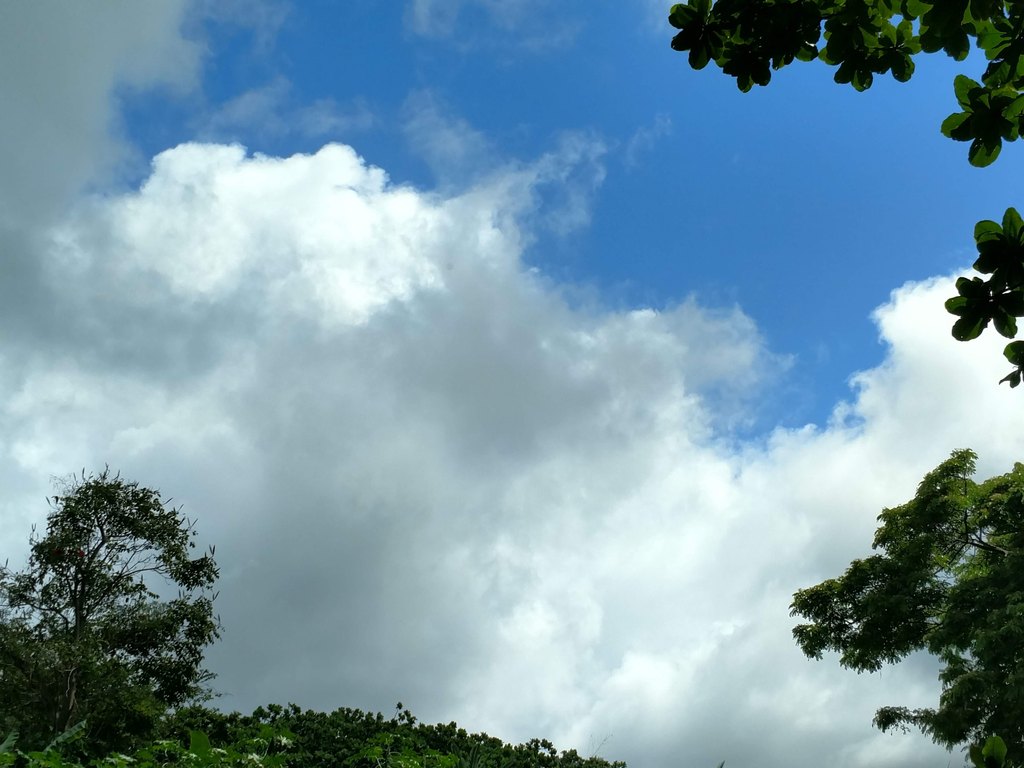 Picture 12