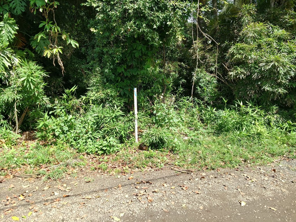 Picture 18