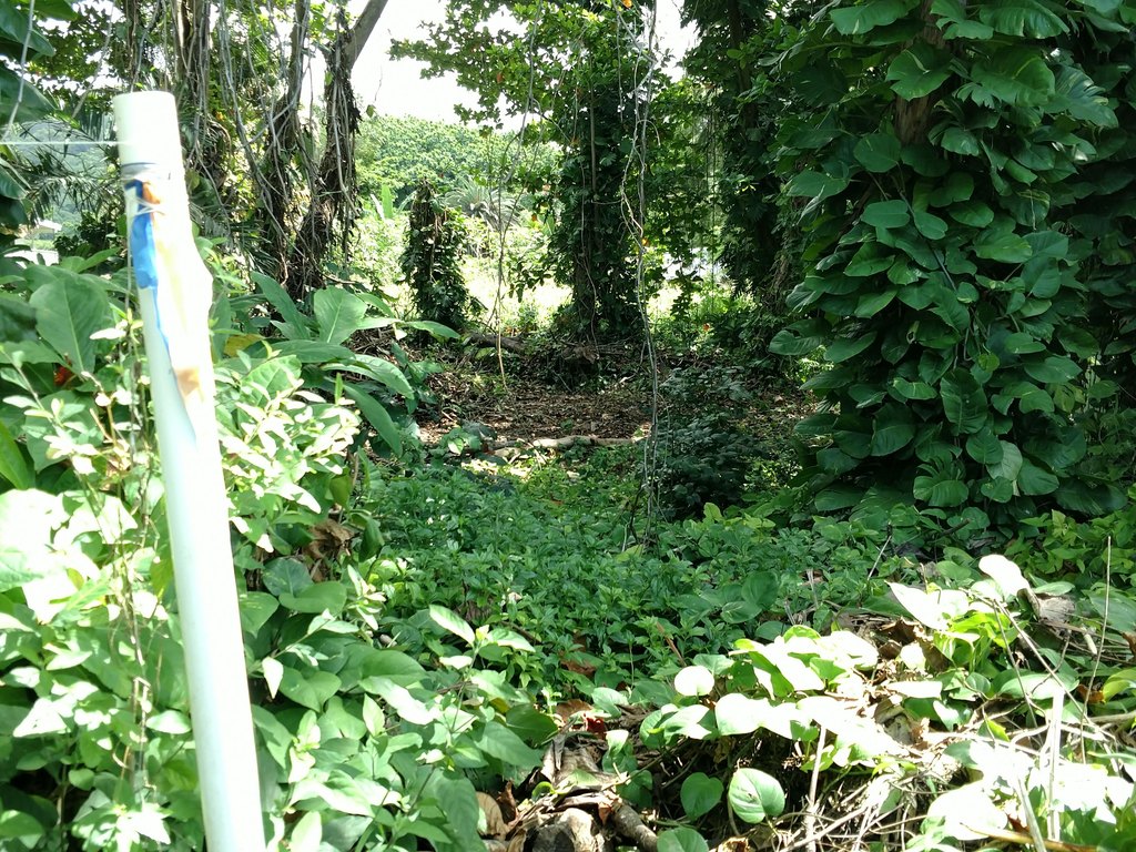 Picture 16
