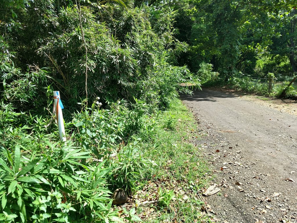 Picture 19
