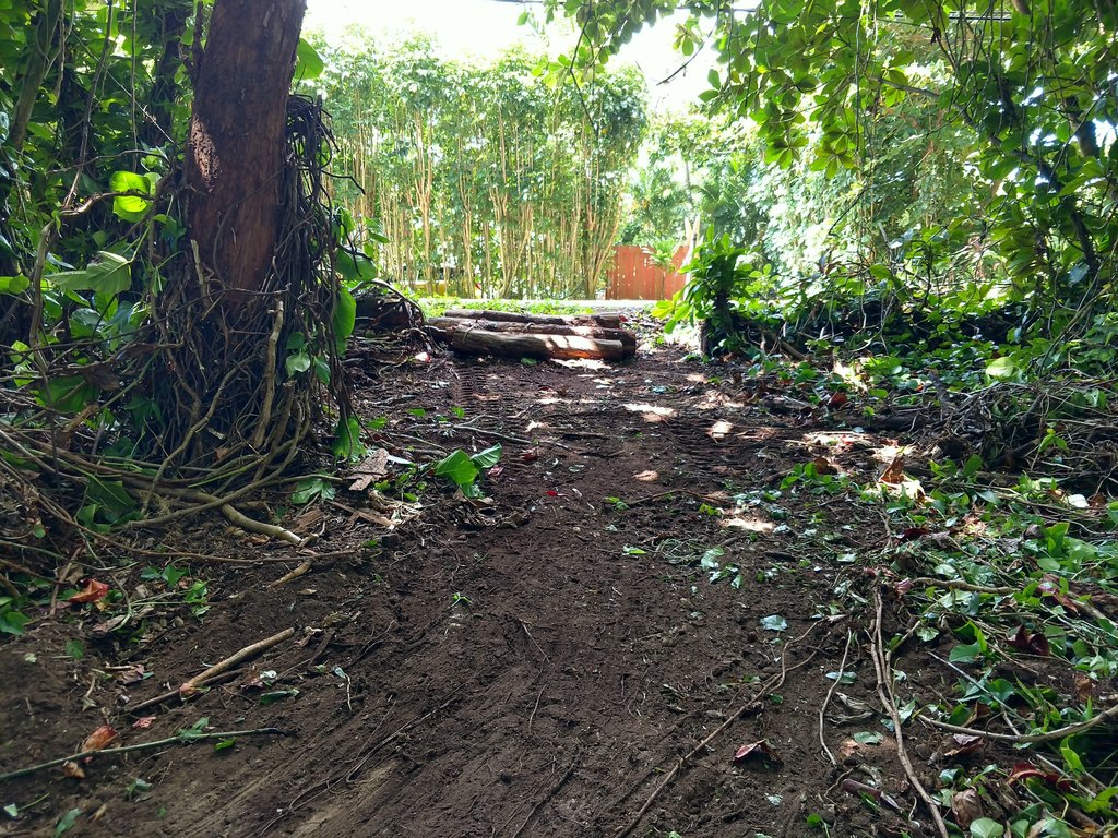 Picture 5