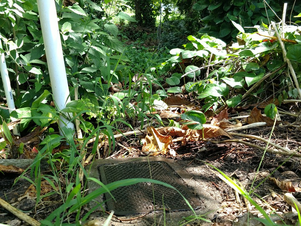 Picture 14